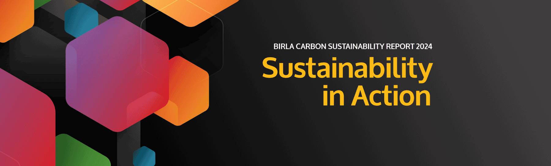 Birla Carbon Sustainability in Action Hero Image